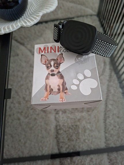 Mini koiran haukunestopanta