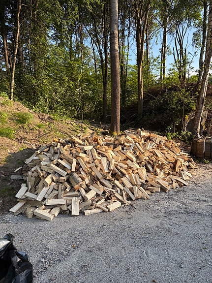 Noin 30 heittokuutiota tuoreita polttopuita – itse noudettuna, Lahti