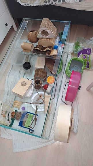 Terraario ja jyrsijän tarvikkeita