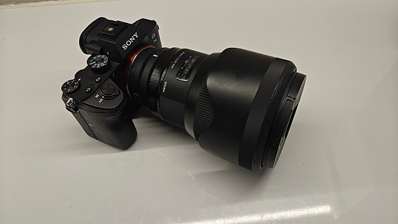 Sony a7III (SC:11318) + Sigma 85mm f1.4 art