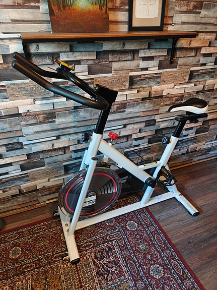 Raleigh Fitness spinningpyörä