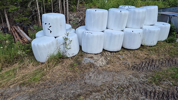 Heinää