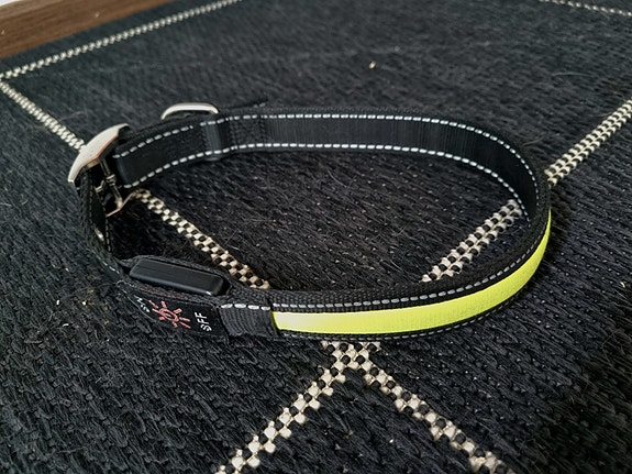 Real Dog koiran LED-panta (45-50 cm/25 mm)