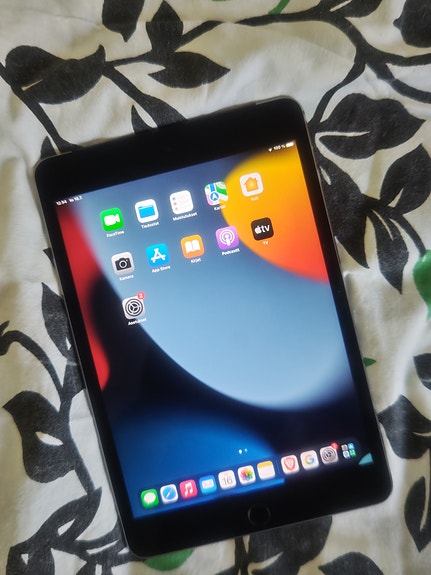 iPad mini 4 32GB 4G LTE (Cellular) – erittäin siisti – 69 €