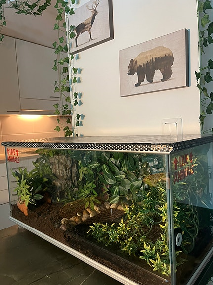 terraario