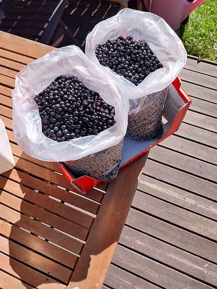Mustikoita myytävänä