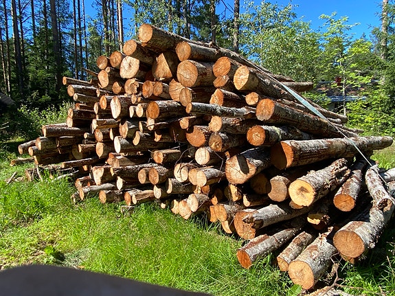 Leppää