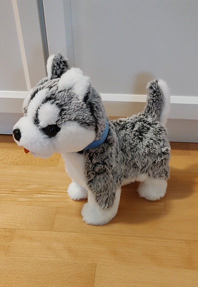 Robokoira, Husky
