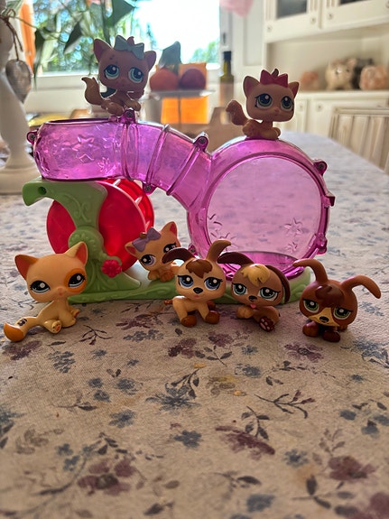 Lps setti
