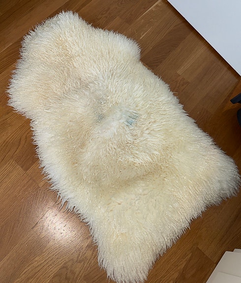 Lampaantalja
