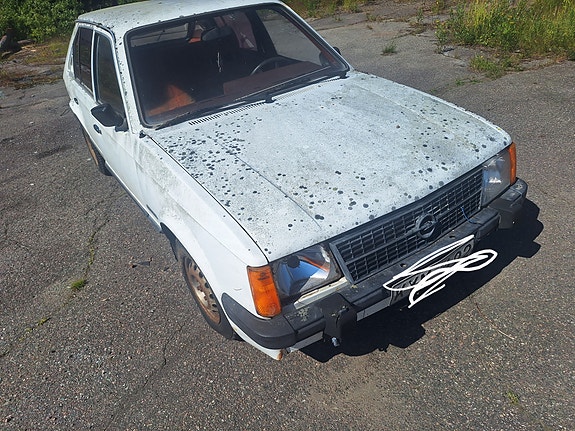 Opel kadett osina