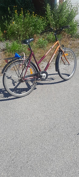 Tähtipyörä Moxie 7-vaihdetta