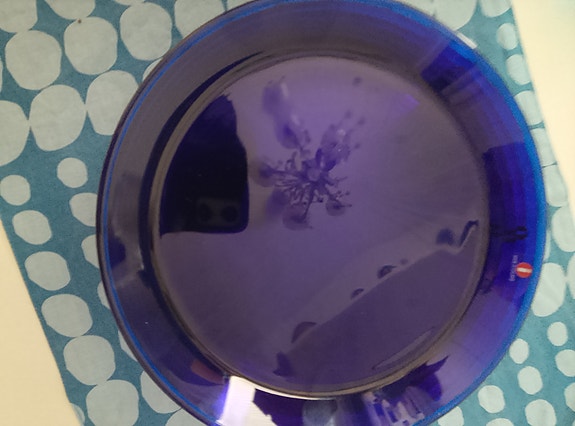 Iittala Kaj Franck lautaset x 7