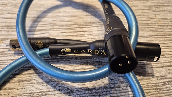RCA to XLR audiokaapeli, 2 kpl