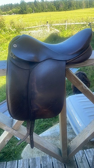 Cliff Barnsby Pony Dressage 16” MW.