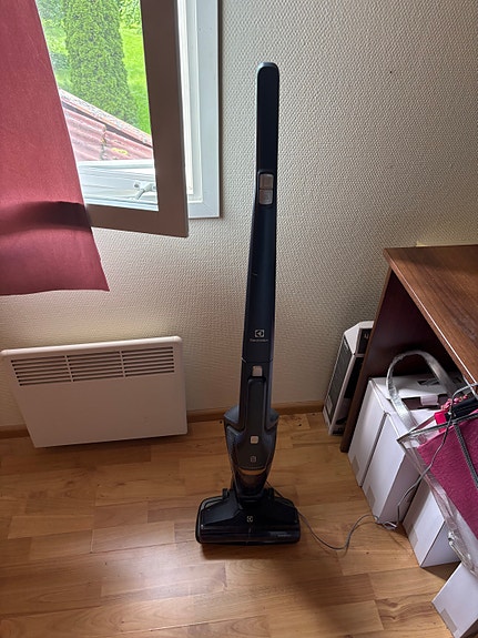 Electrolux Ergorapido varsi-imuri