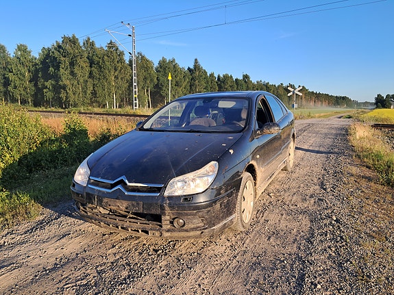 Citroen C5 Osina