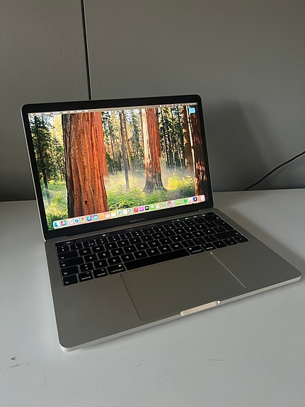 Apple MacBook Pro 13"
