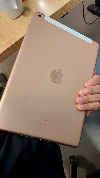 Apple iPad 8th Gen Wi-Fi + 4G, 128 GB, Ruusukulta