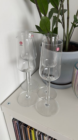 Iittala Essence kuohuviinilasit 4 kpl