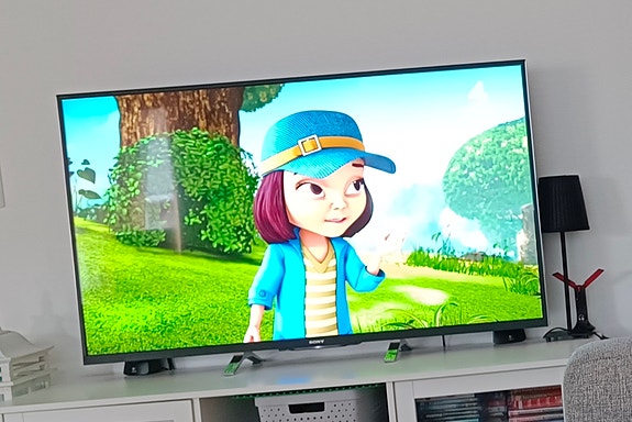 Sony Bravia W95B