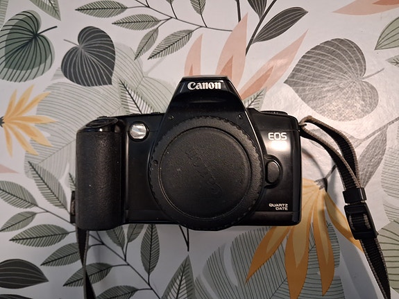 Canon EOS 500