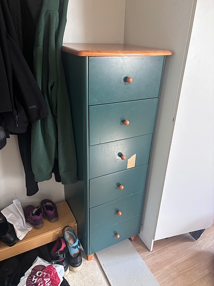 Korkea vihreä mäntylipasto / laatikosto