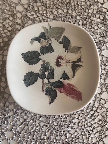 Arabia WWF Hibiscus insularis seinälautanen