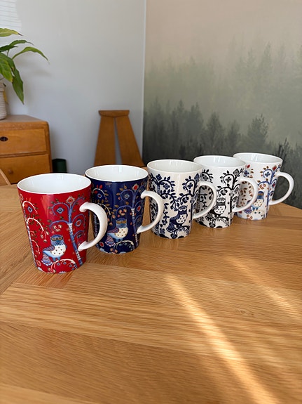 Iittala Taika mukit 5 kpl