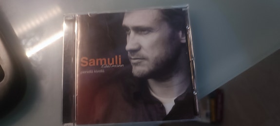 Samuli Edelmann Pienellä kivellä