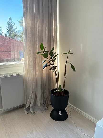 Mittatilauksena teetetyt pellavaverhot (3 kpl)