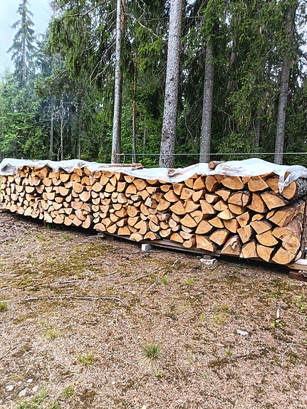 Havupuu halkoa