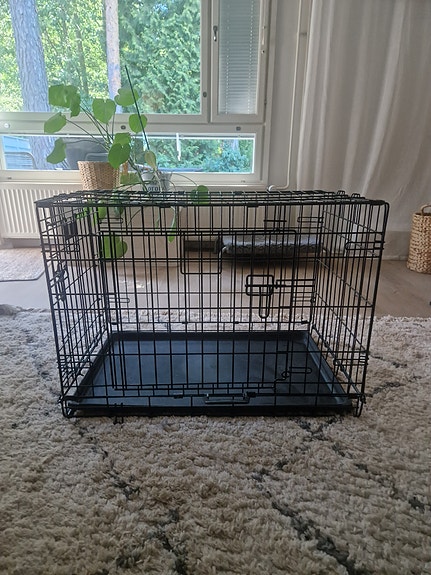 Koiranhäkki