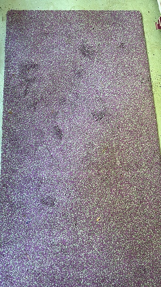 Kaksi violettia mattoa (66 cm x 1,3 m) – Hyvä kunto!