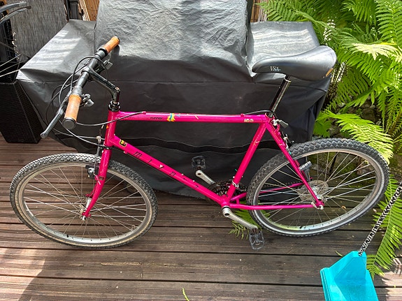 Miyata On/offroad runner