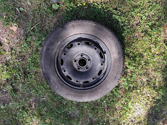 volkswagen 14 tuuman rengas