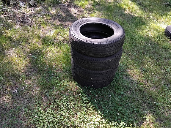 Falken kesärenkaat