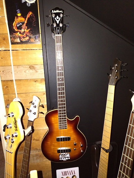 Washburn B200