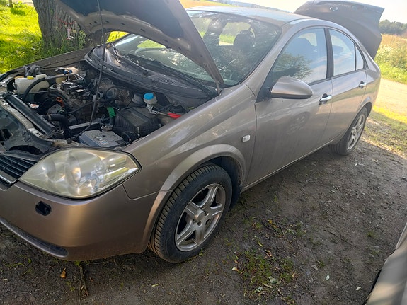 Nissan Primera 1.6 p12 2007 osina
