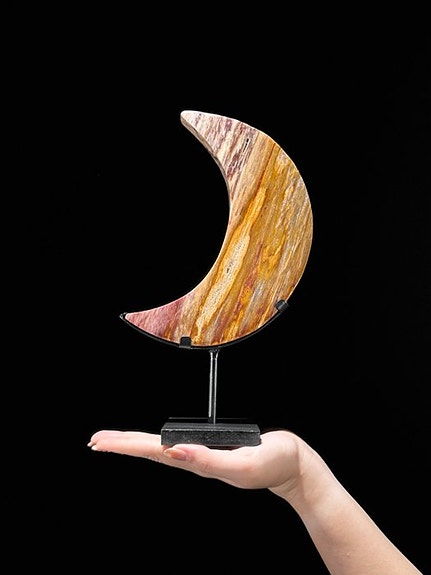 Kivettynyt puu - Wonderful Petrified Wood Crescent Moon-Shaped on a custom