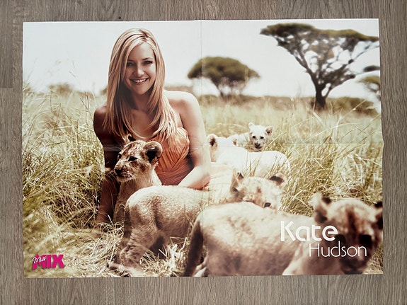 Kate Hudson juliste