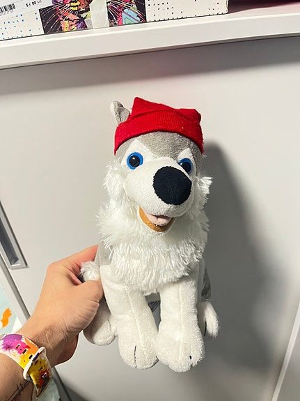 Harmaa-valkoinen pehmohusky / pehmoeläin koira