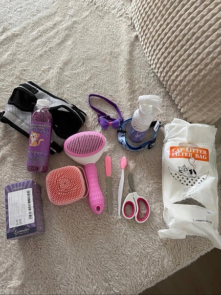 Koiran hoitotarvikepaketti harjat, sakset ja pesuaine