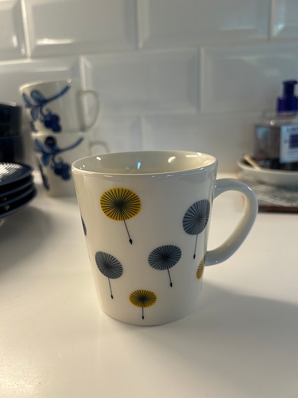 Iittala/Arabia Hattara muki