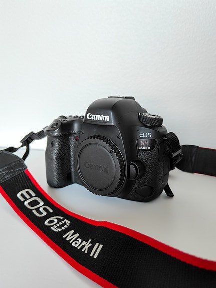 Canon EOS 6D Mark II (sc: 31486)