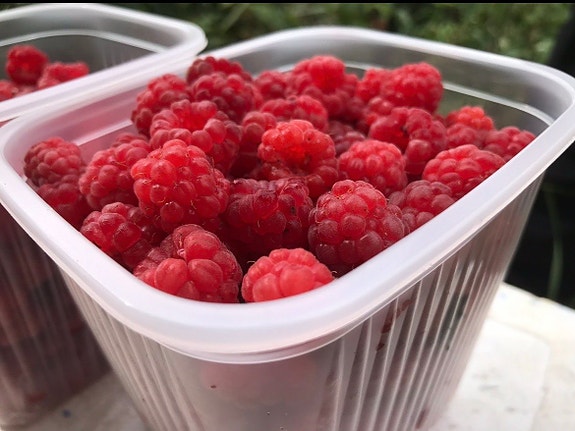 Vadelmia myytävänä
