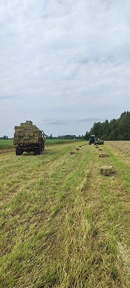 Heinää pienpaaleissa
