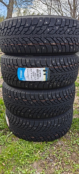 225/55R17 C Nokian Hakkapeliitta C4