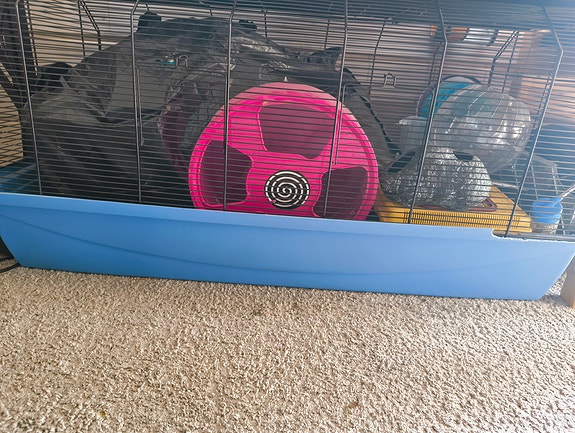 Myydään iso hamsterin/Jyrsijän häkki tarvikkeineen