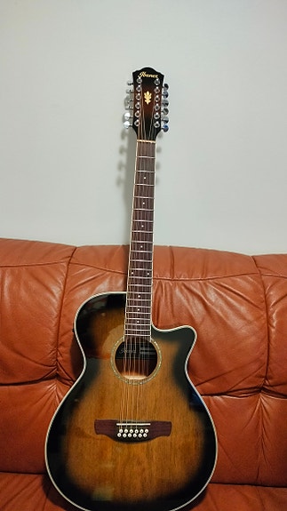 Ibanez 12-kielinen